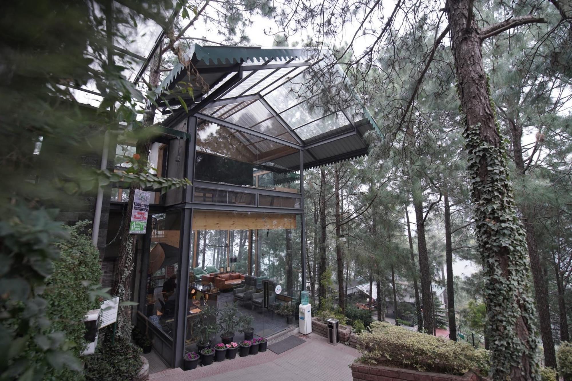 Kasauli Hills Resort Exterior foto