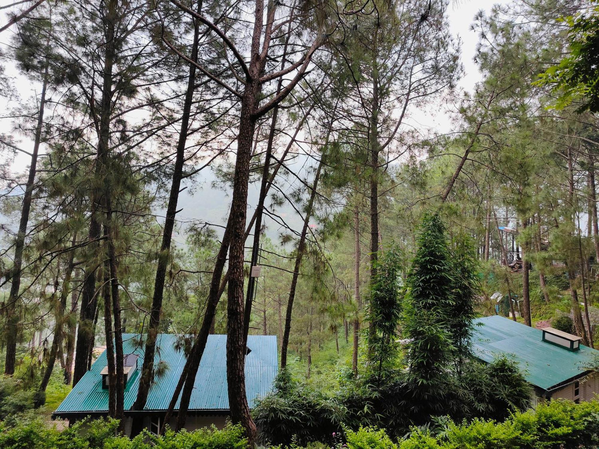 Kasauli Hills Resort Exterior foto